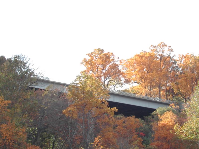 DSCN5237.JPG