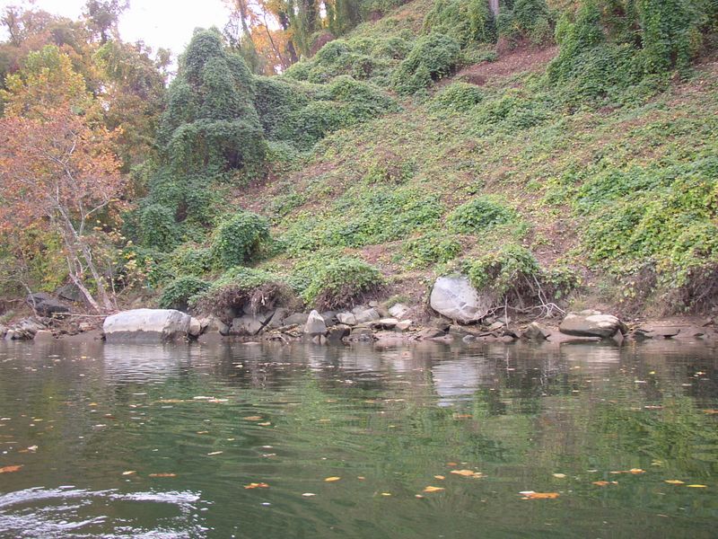 P1010145.JPG