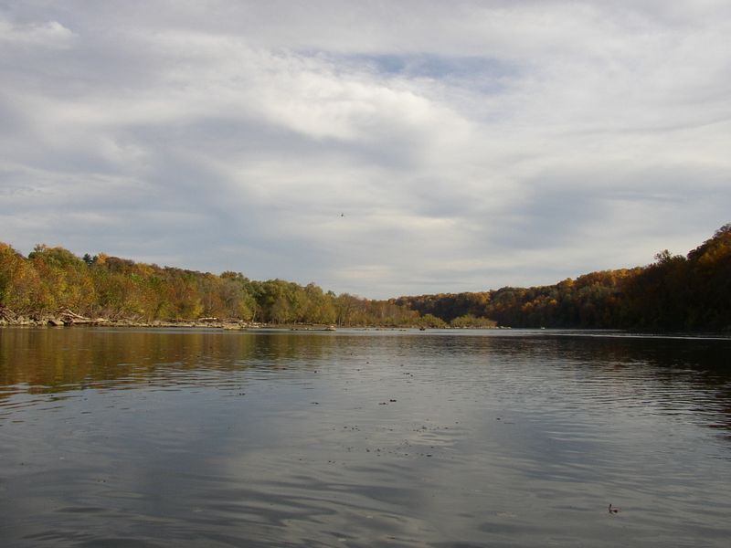 P1010152.JPG