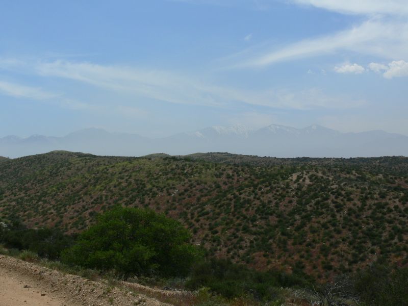 P1010213.JPG